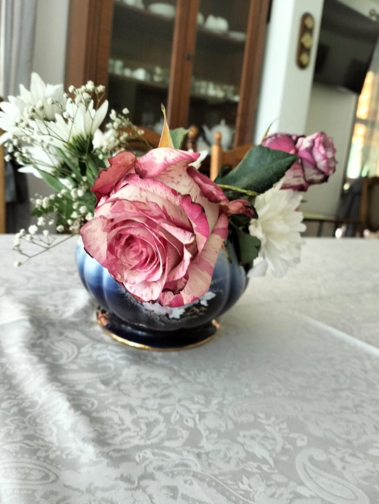 Hotel Casa Lucretia Vama  Zewnętrze zdjęcie