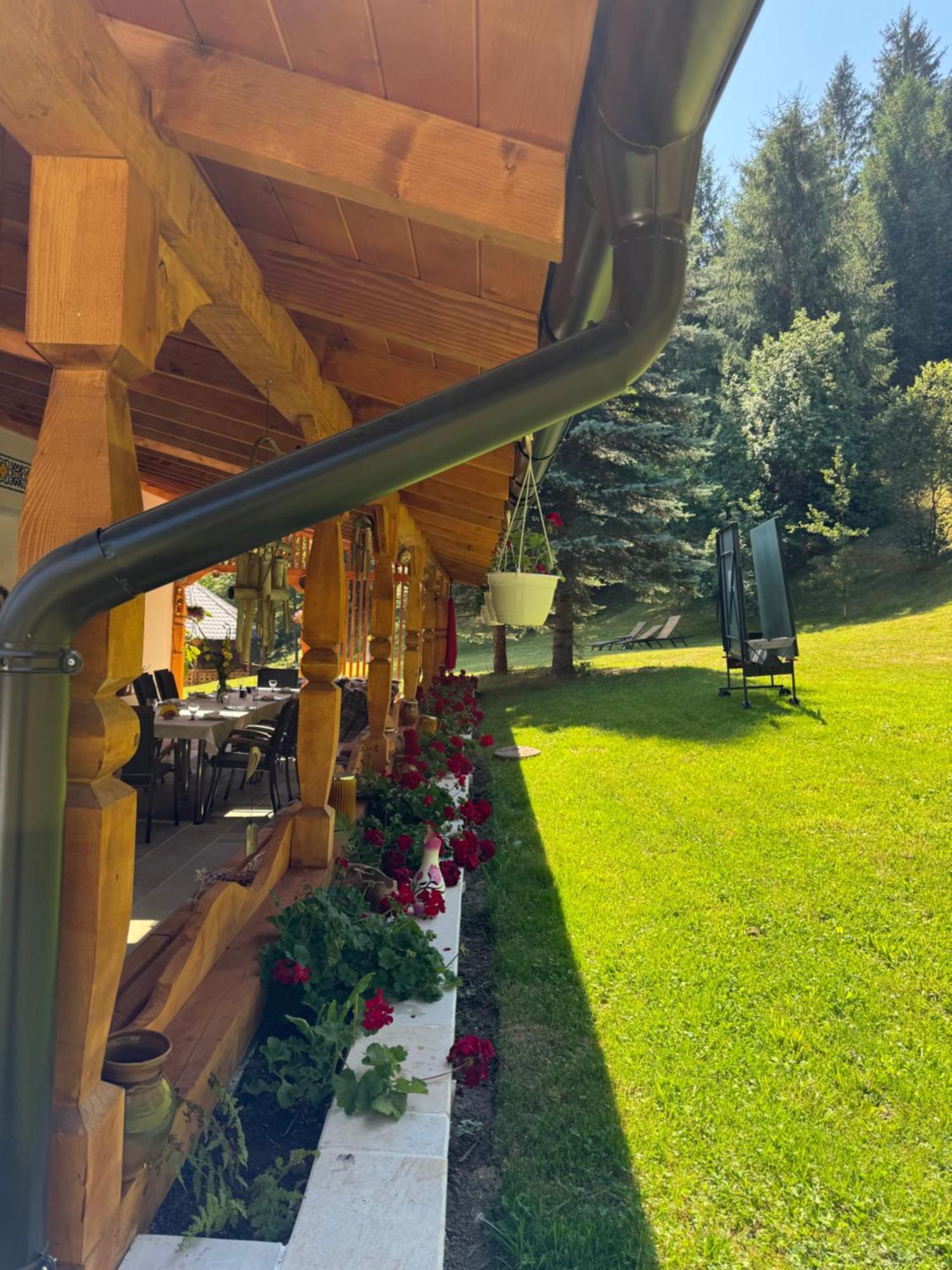 Hotel Casa Lucretia Vama  Zewnętrze zdjęcie