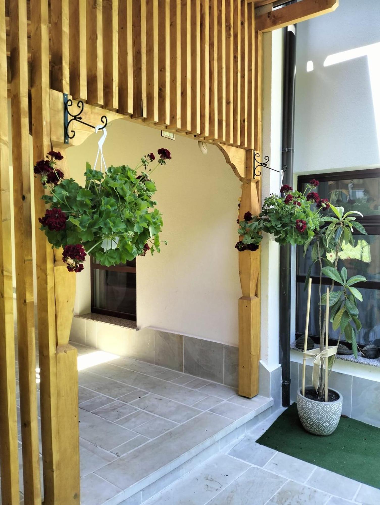 Hotel Casa Lucretia Vama  Zewnętrze zdjęcie