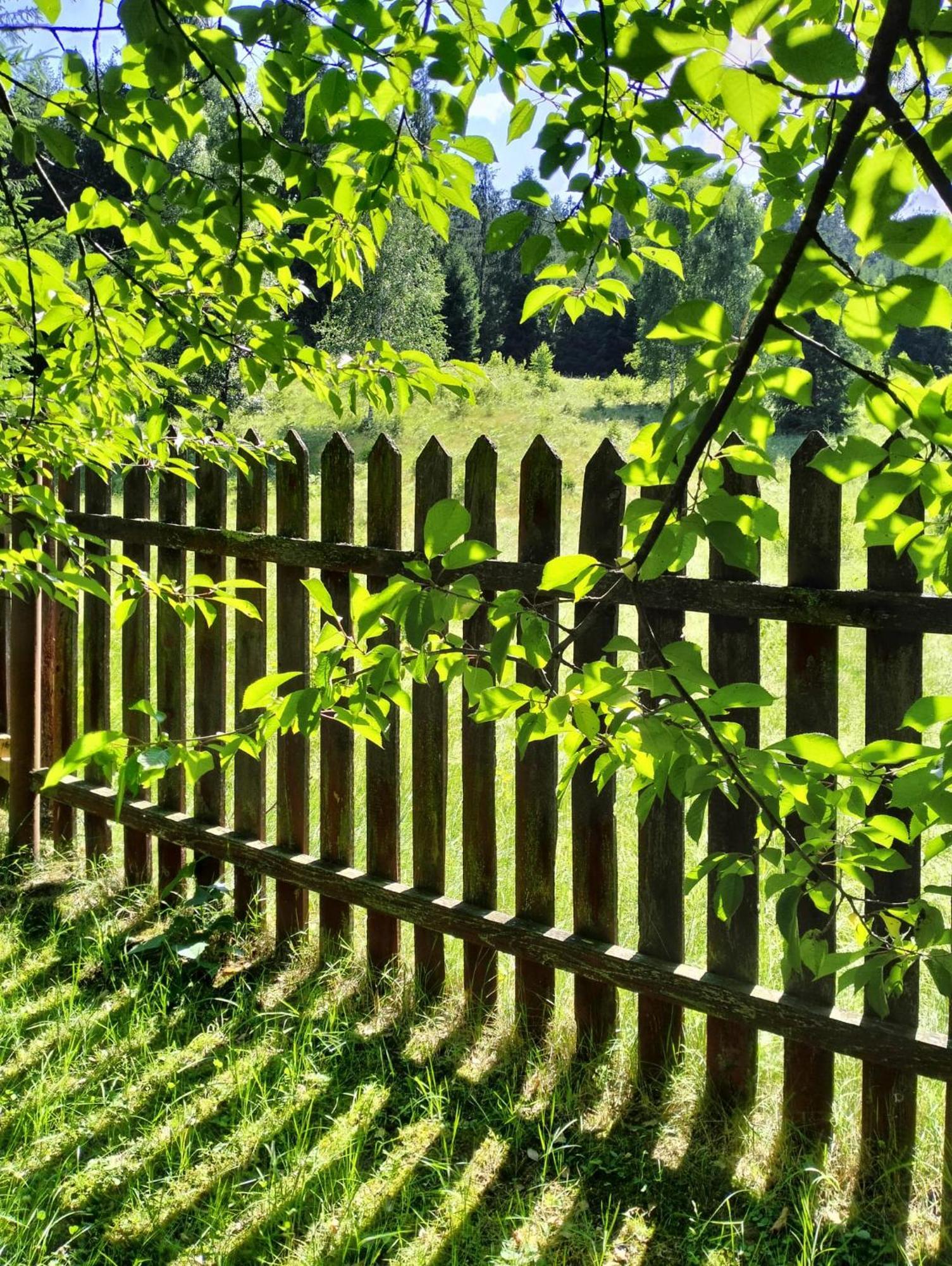 Hotel Casa Lucretia Vama  Zewnętrze zdjęcie