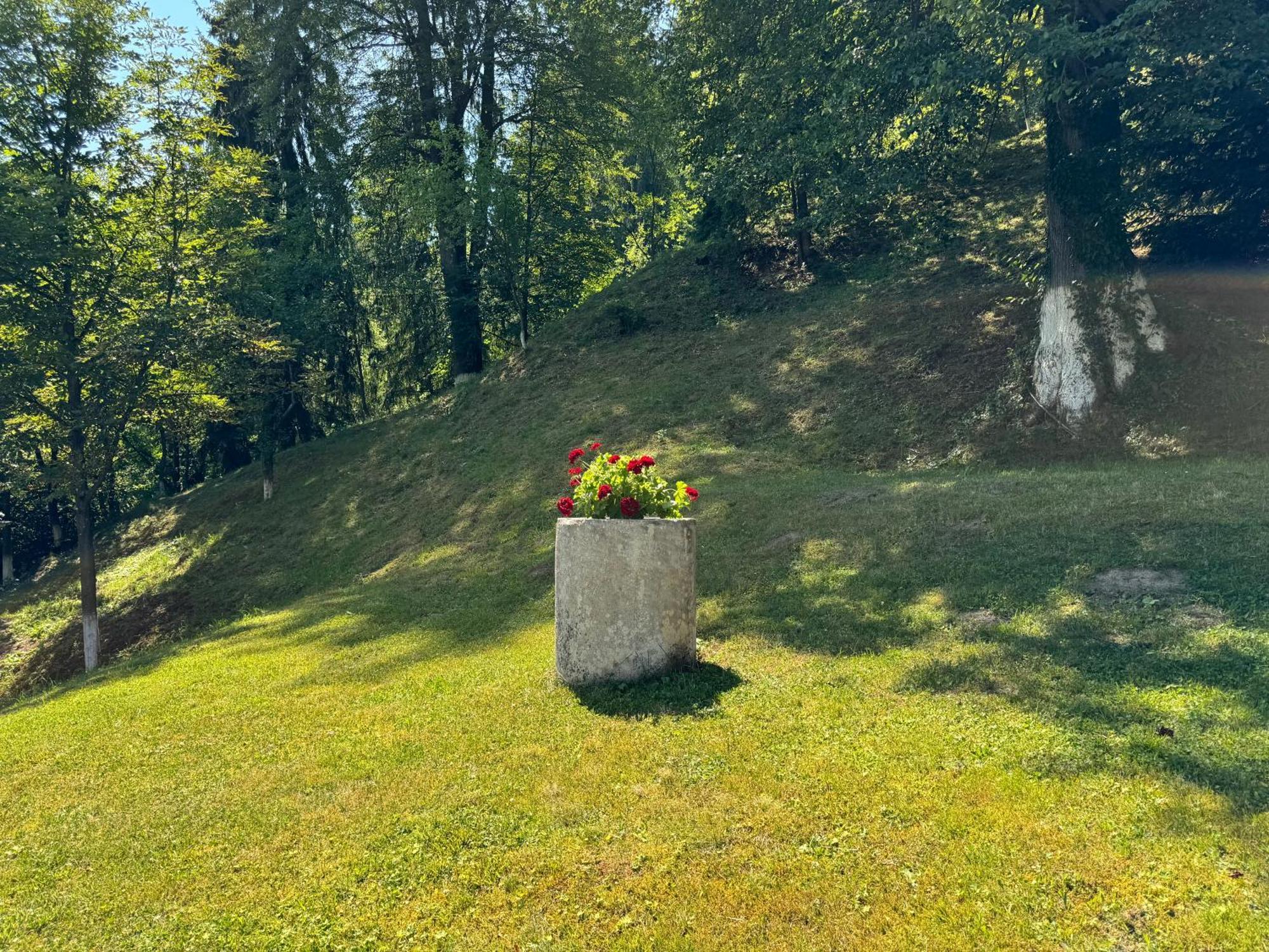 Hotel Casa Lucretia Vama  Zewnętrze zdjęcie